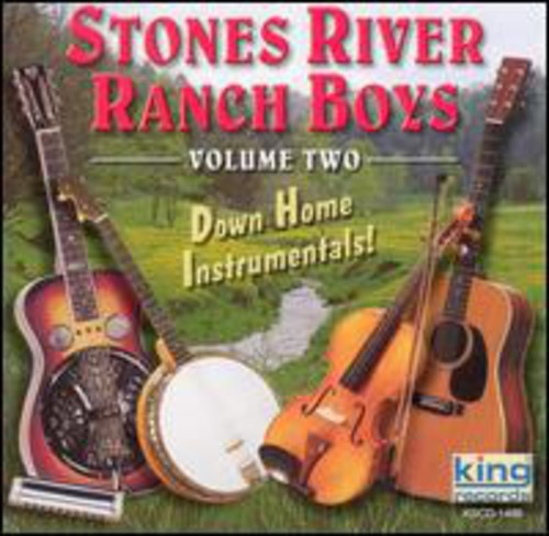 Stones River Rance Boys - Down Home Instrumentals, Vol. 2