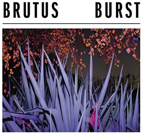 Burst