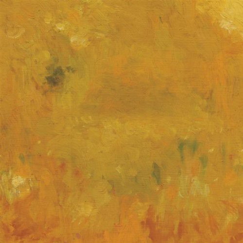 Where Leaves Block the Sun