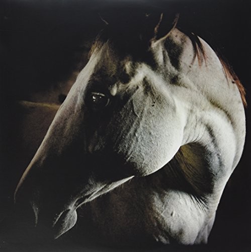 Brother Dege - How to Kill a Horse