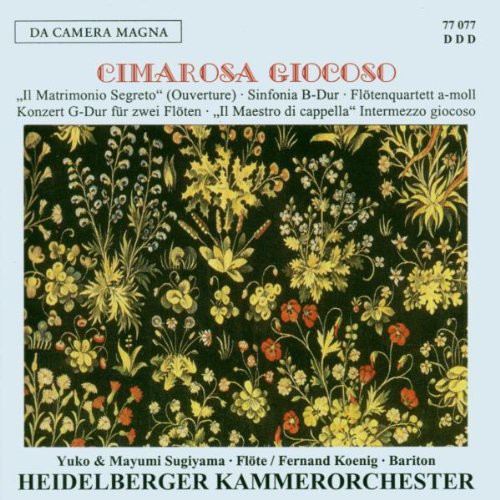 Sinfonia Concerto for 2 Flutes