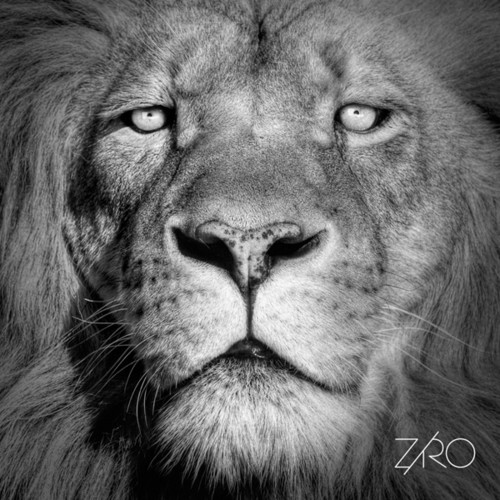 Lionheart