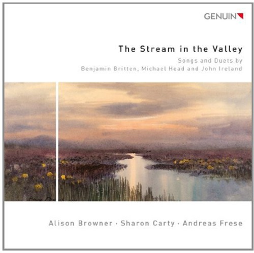 Stream of the Valley