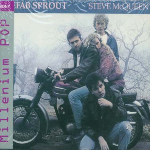 Steve McQueen [Import]