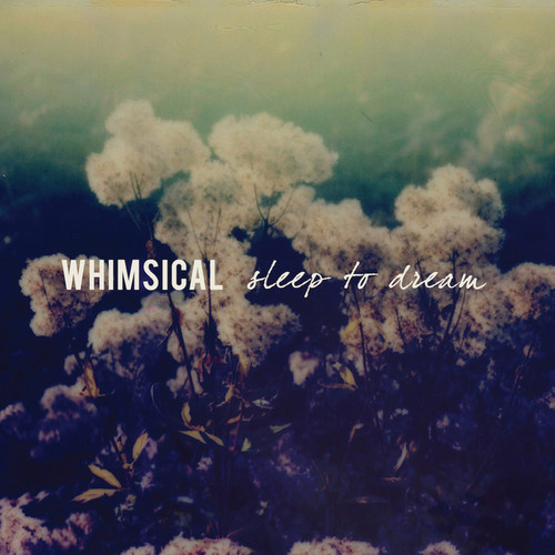 SLEEP TO DREAM