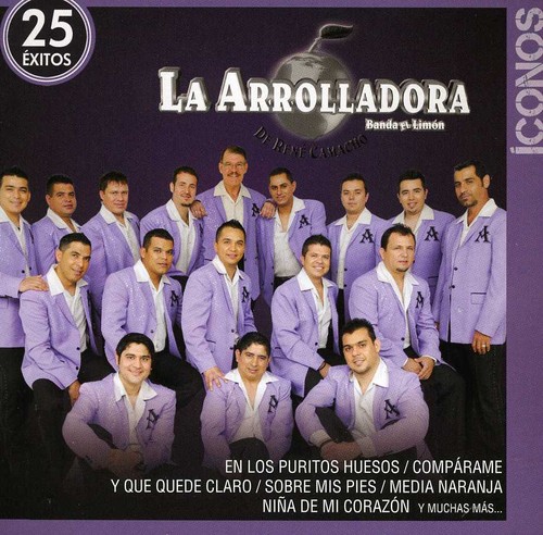 Iconos /  25 Exitos