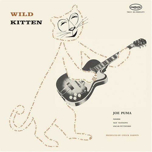 Wild Kitten