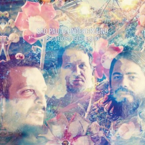 Beija Flors Velho E Sujo