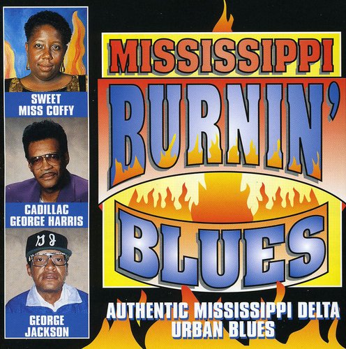 Mississippi Burnin Blues / Various