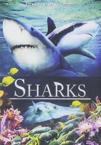 Sharks