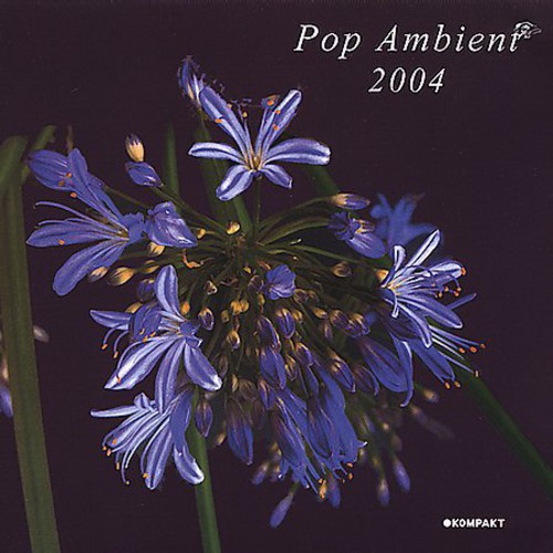 Pop Ambient 2004