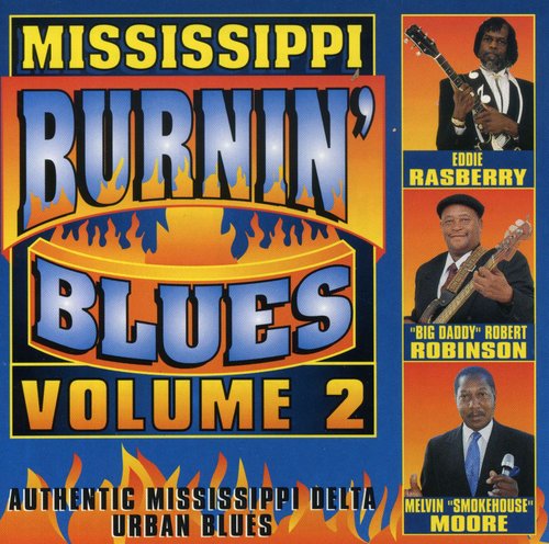 Mississippi Burnin Blues 2 / Various