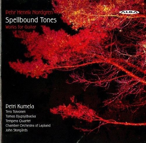 Spellbound Tones: Guitar Music