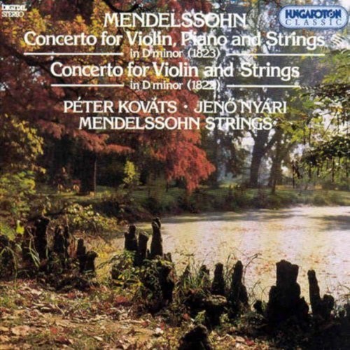 Concerto for Violin Piano & Strings