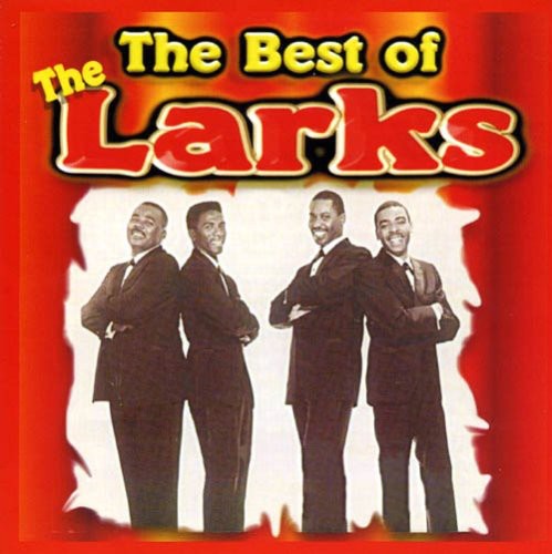 LARKS - Unbelievable