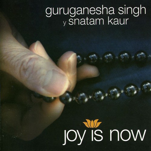 Joy Is Now [Import]