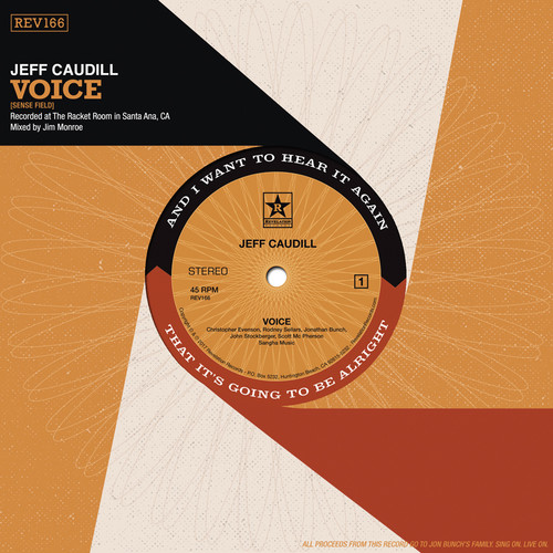 Voice /  Wishing Well (teal Vinyl)
