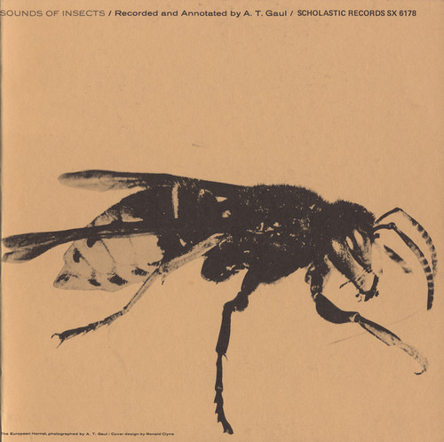 Sounds of Insects /  Various