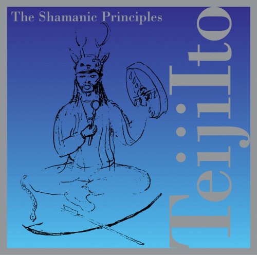 Shamanic Principles