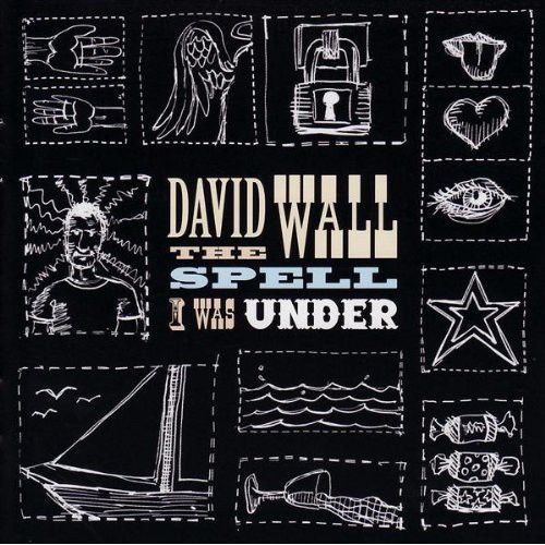 David Wall - Spell I Was Under