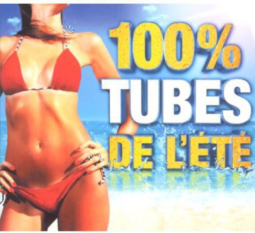 100% Summer Hits 2013 [Import]