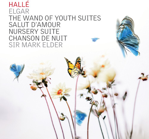 Wand of Youth Suites