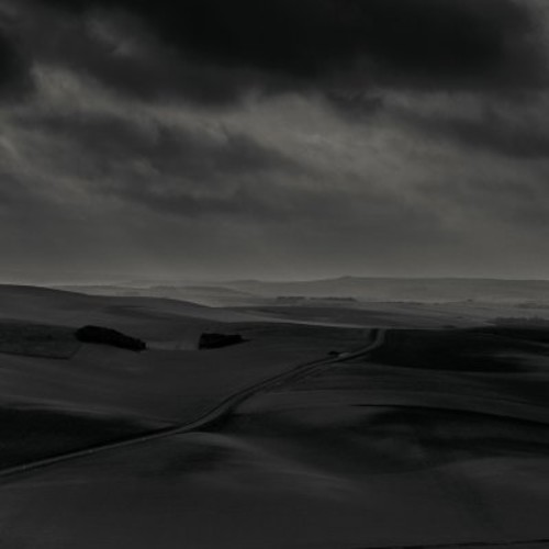 Random Textures + Compulsion