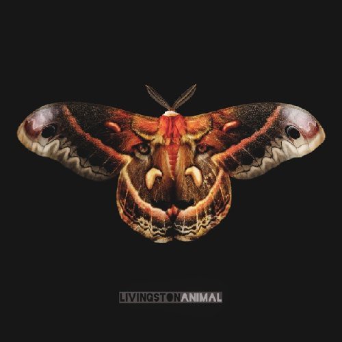Animal [Import]