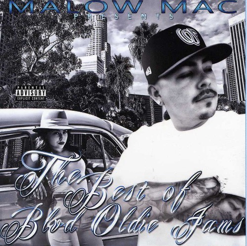 The Best Of Blvd Oldie Jams