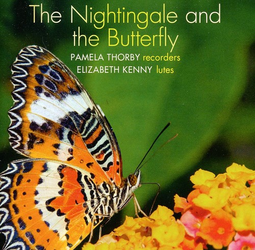 Nightingale & the Butterfly