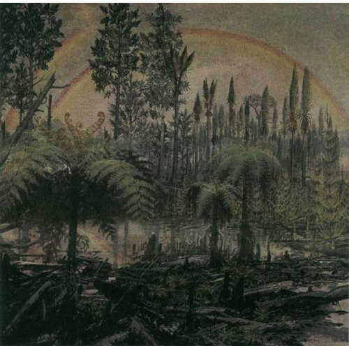 We Walk the Young Earth