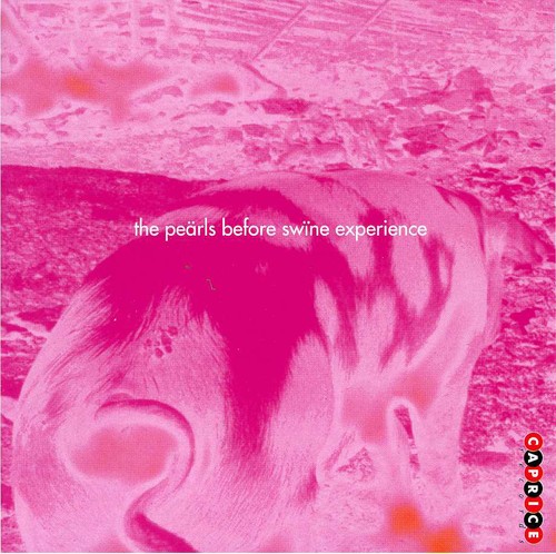 Wake Up: Pearls Before Swine Experience