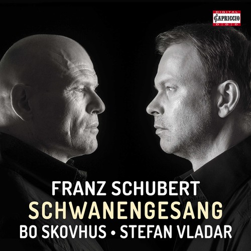 SCHWANENGESANG