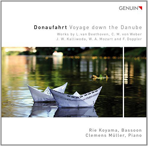 Voyage Down the Danube
