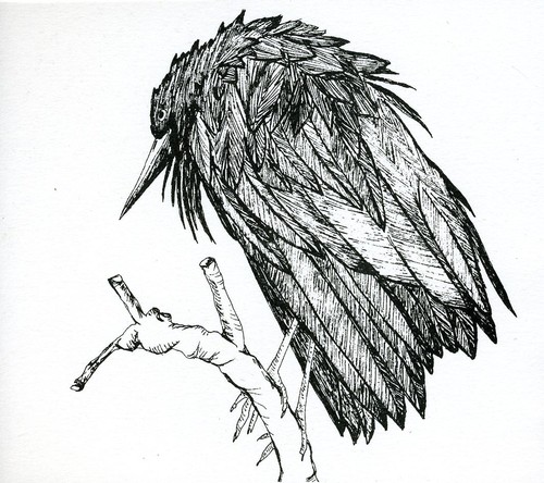 Little Sparrow