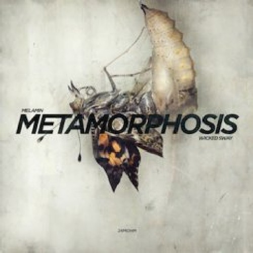 Metamorphosis