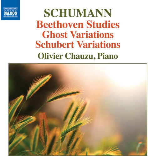 Beethoven Studies Ghost Variations & Schubert Variations