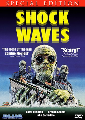 Shock Waves