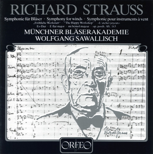 Symphony for Winds: Happy Workshop