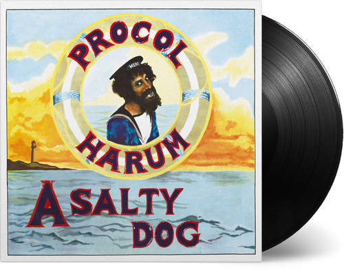 Salty Dog