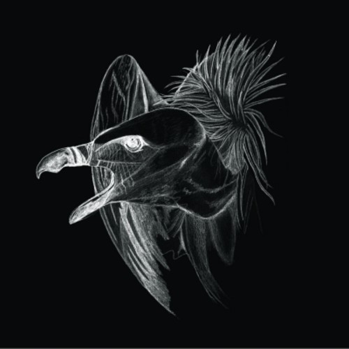 Migration