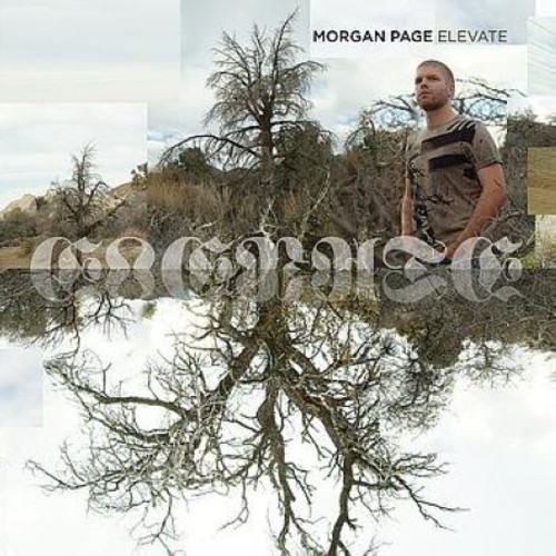 Elevate [Import]