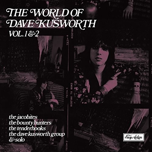 World Of Dave Kusworth