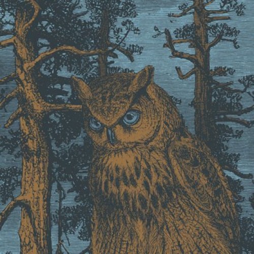Queller (Second Edition)
