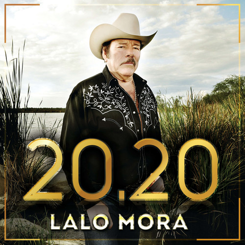 Vision 20.20 Exitos
