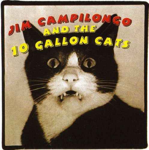 Jim Campilongo & The 10 Gallon Cats