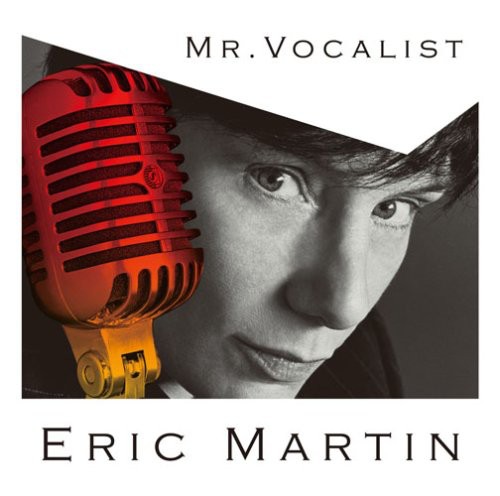 Mr. Vocalist [Import]