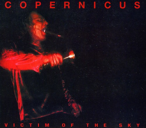 Victim of the Sky
