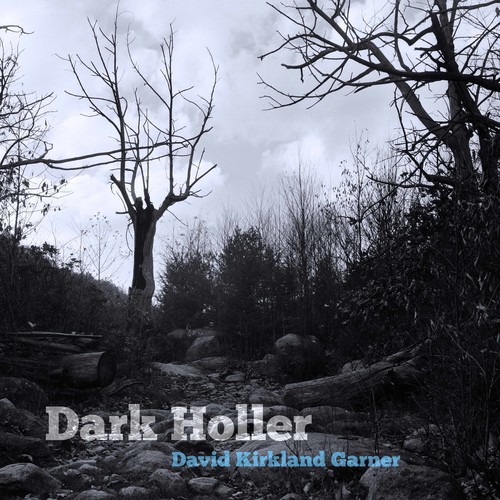 Dark Holler