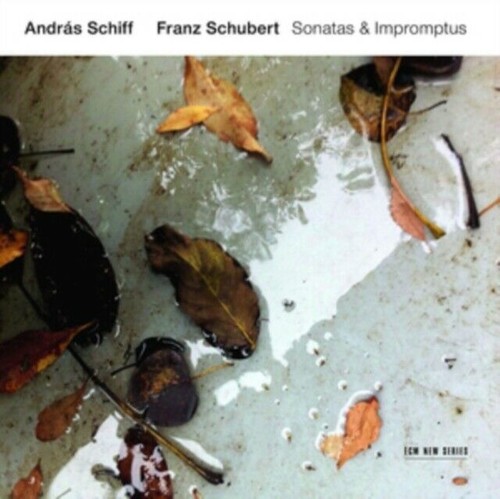 Sonatas & Impromptus